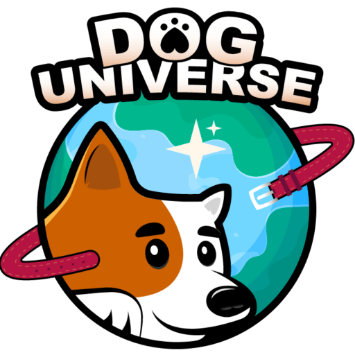 Pension pour chiens et chats | animalerie | toilettage à domicile| DOG UNIVERSE