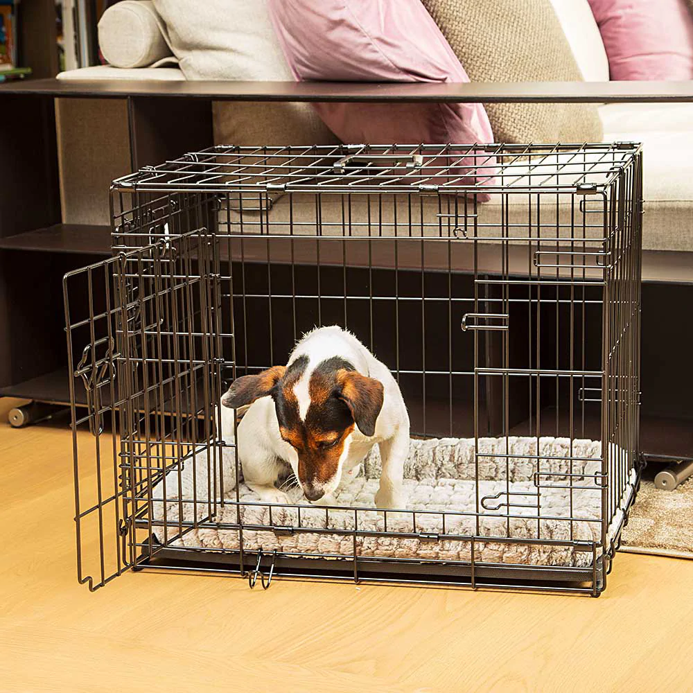 ferplast cage de transport pliable pour chiens dog inn 60